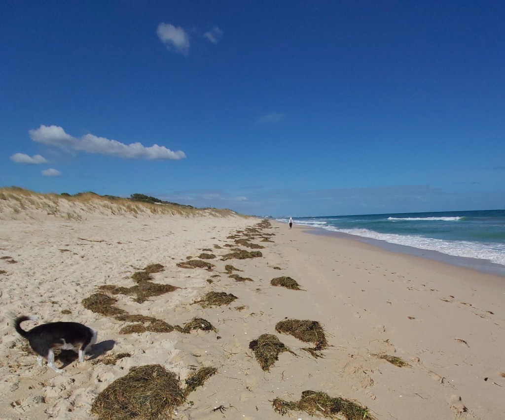 This image has an empty alt attribute; its file name is wrack-1.jpg